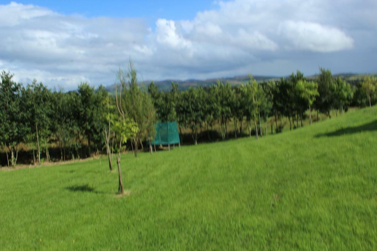 Bunlin Heights Self Catering Studio มิลฟอร์ด ภายนอก รูปภาพ